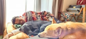 %e3%81%8a%e7%96%b2%e3%82%8c%e6%a7%98%e3%81%a7%e3%81%97%e3%81%9f